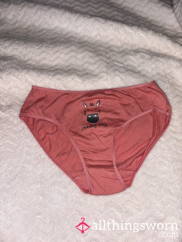 Salmon Pink Bikini Panties