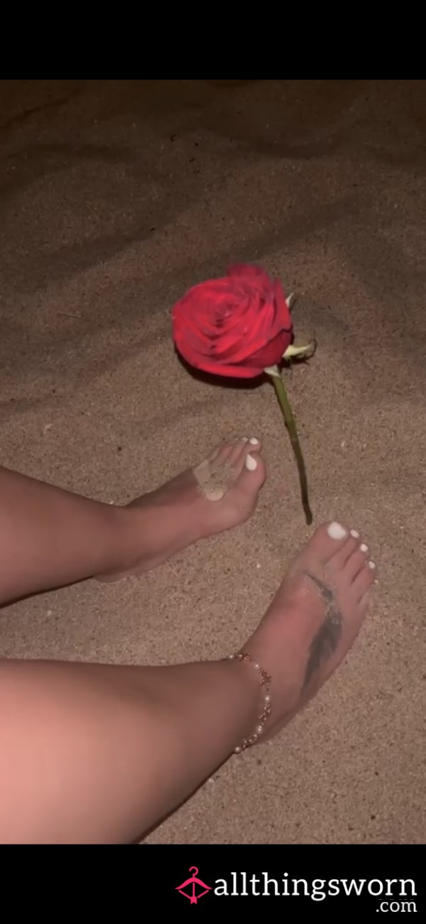 🌙🏖️ Sandy Toes At The Beach 🏖️🌙