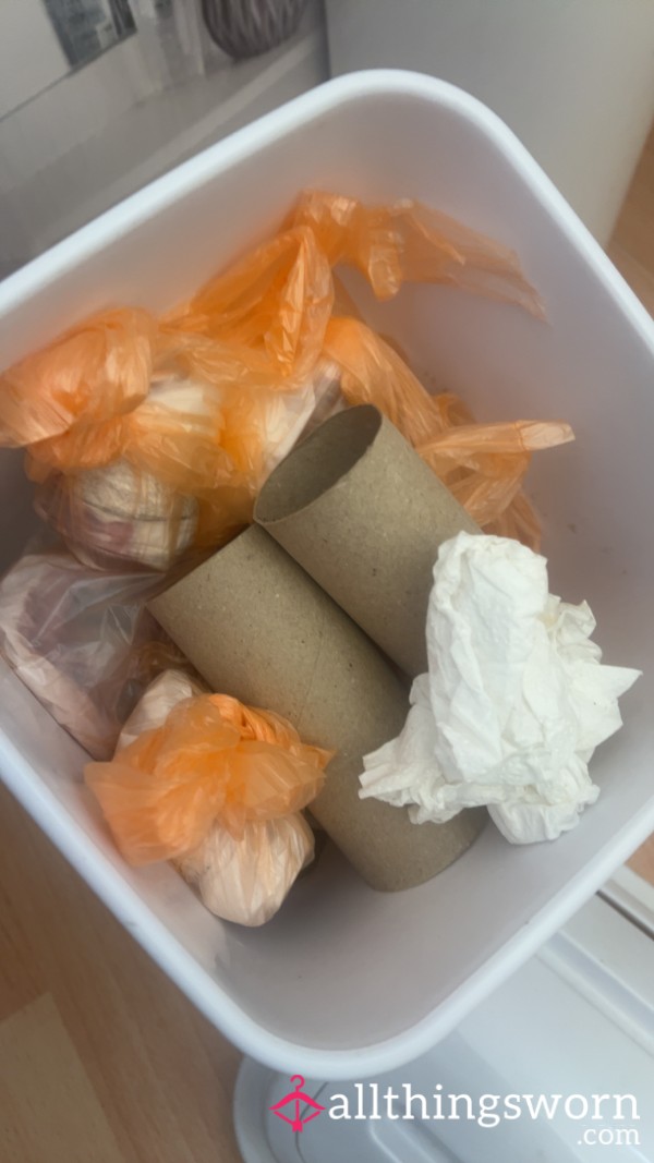 Sanitary Bin