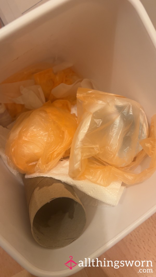 Sanitary Bin