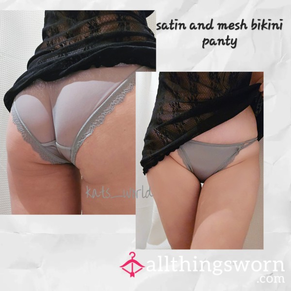 Satin And Mesh Panties