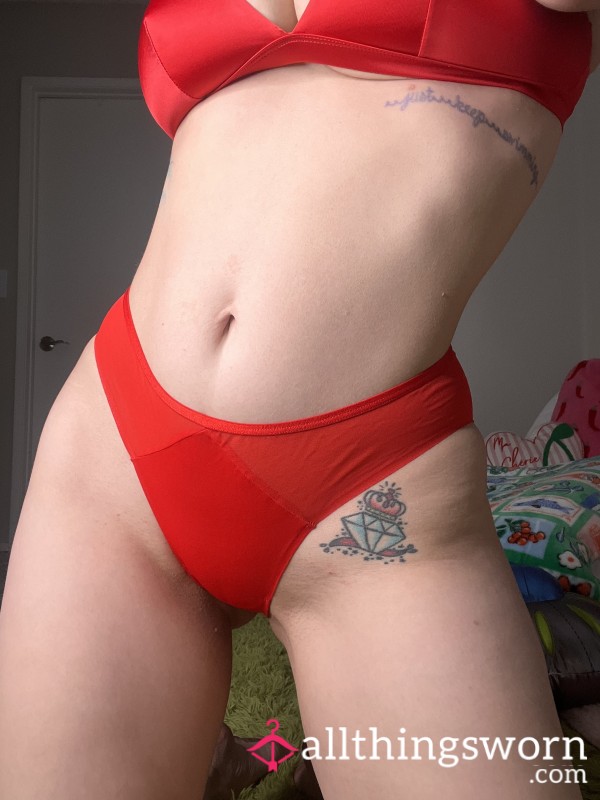 Satin And Mesh S**y Hipster Panties