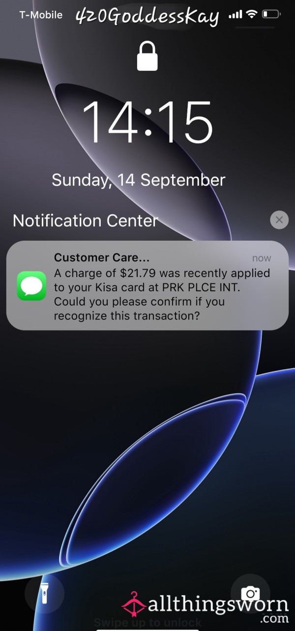Scamming Text Session