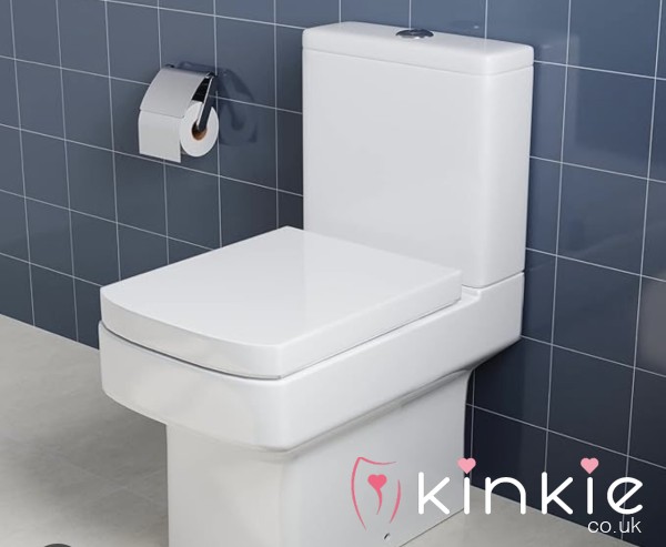 Searching For Toilet Slaves!