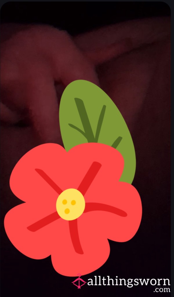 Self Play