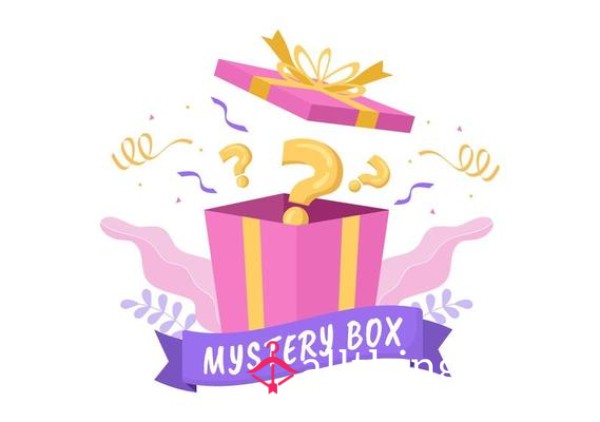 S** Toy Mystery Box