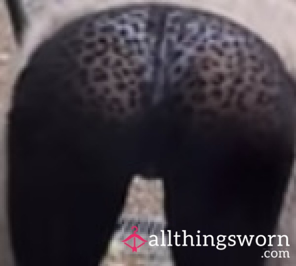 S**y Dirty Panties
