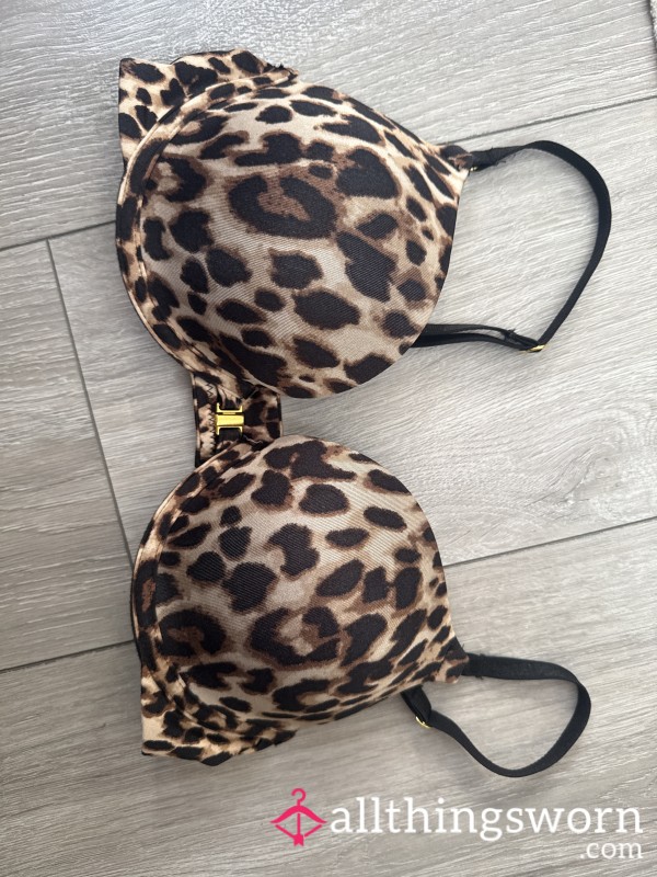 S**y Leopard Print Bra 24 Hour Wear Photos Included