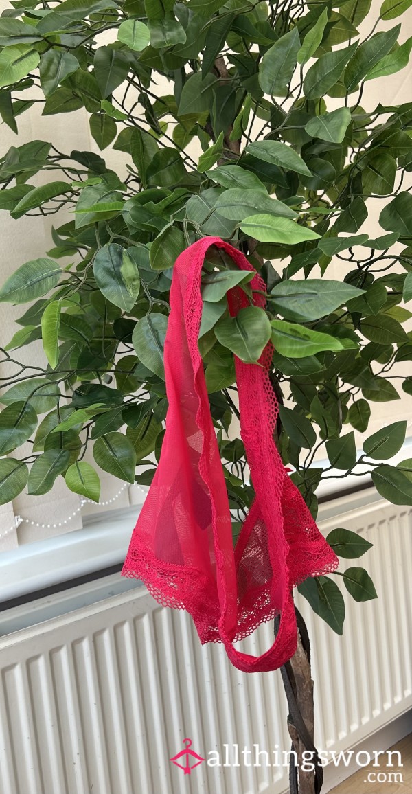 S**y Red Lacy Panties