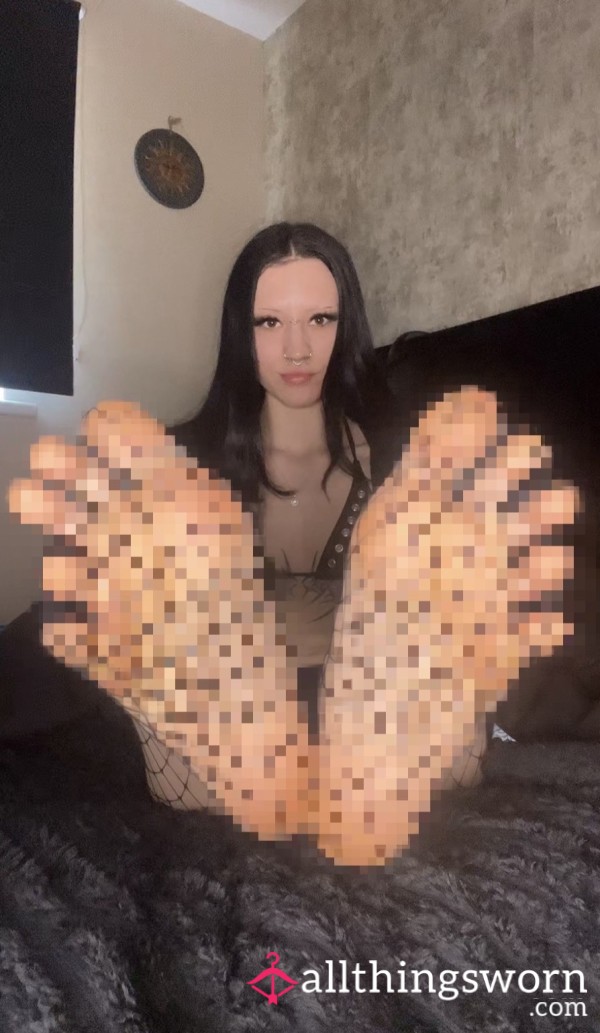SFW Feet & Fishnets 👣