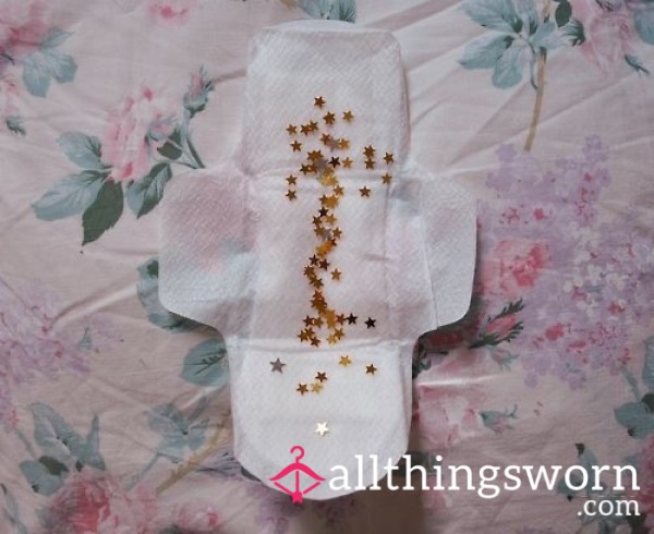 Shark Days Accessories