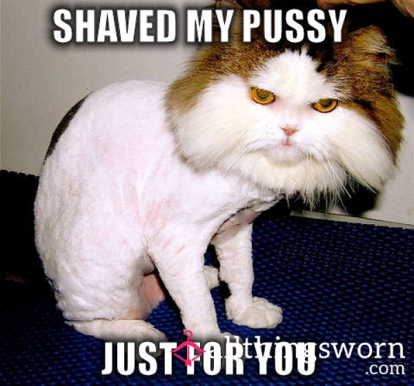 Shaving My 🐱