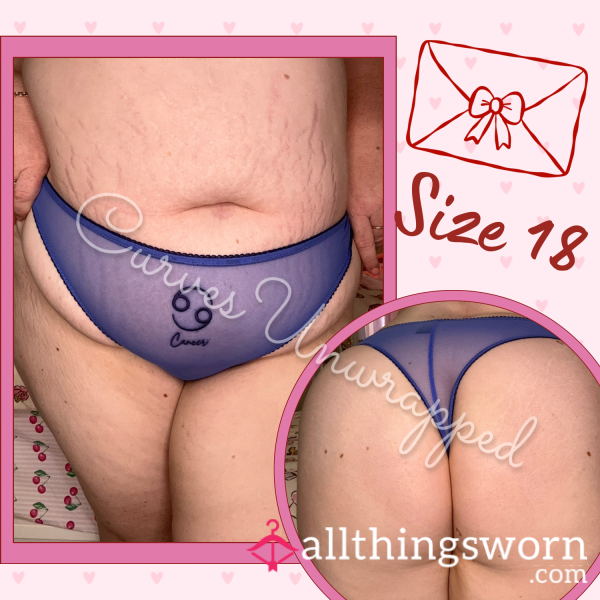 💙 Sheer Blue Cancer Sign Thong ~ Bras N Things Size 18 💙