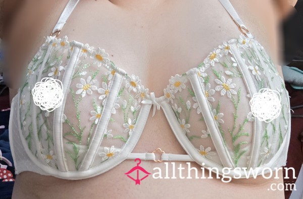 Sheer Bra #2 Green