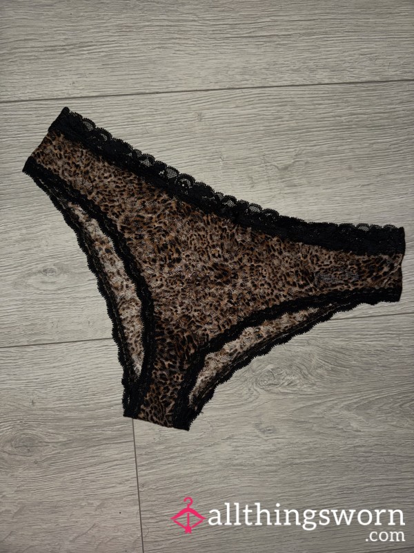 Sheer Leopard Print Full Back Knickers 🐆