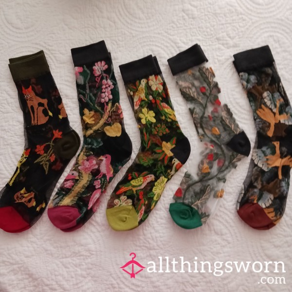 Sheer Reinimposed Ankle Socks With Embroidered Tropical Design 🤤 Daily Photo Set Of 5 Photos 📸