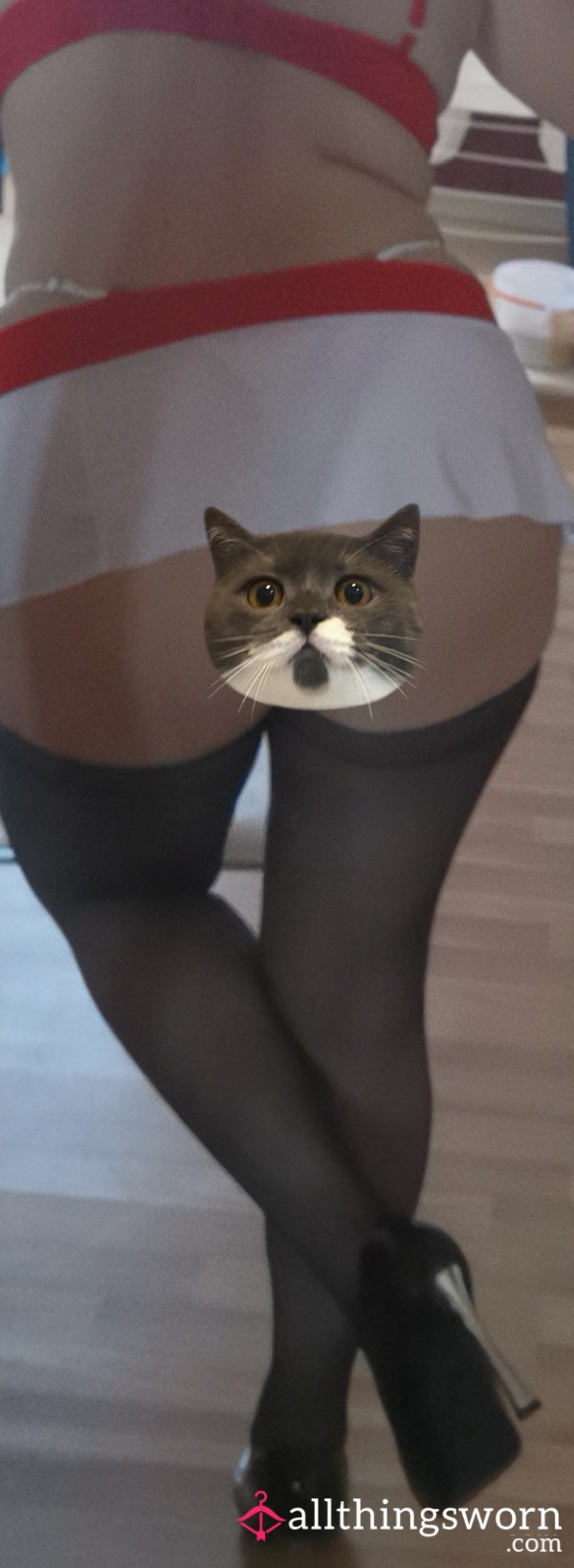 Sheer Tights