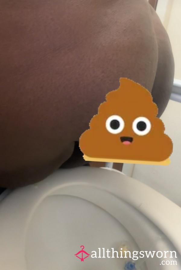 Sh*tting In The Toliet