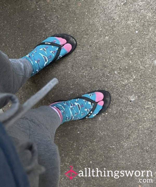 Shoed Feet