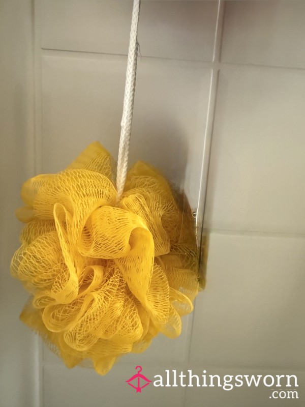 Shower Loofa Includes Shipping