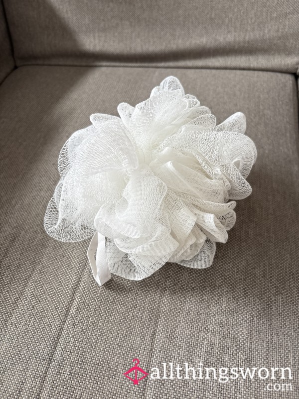 Shower Loofah That’s Seen Many Washes