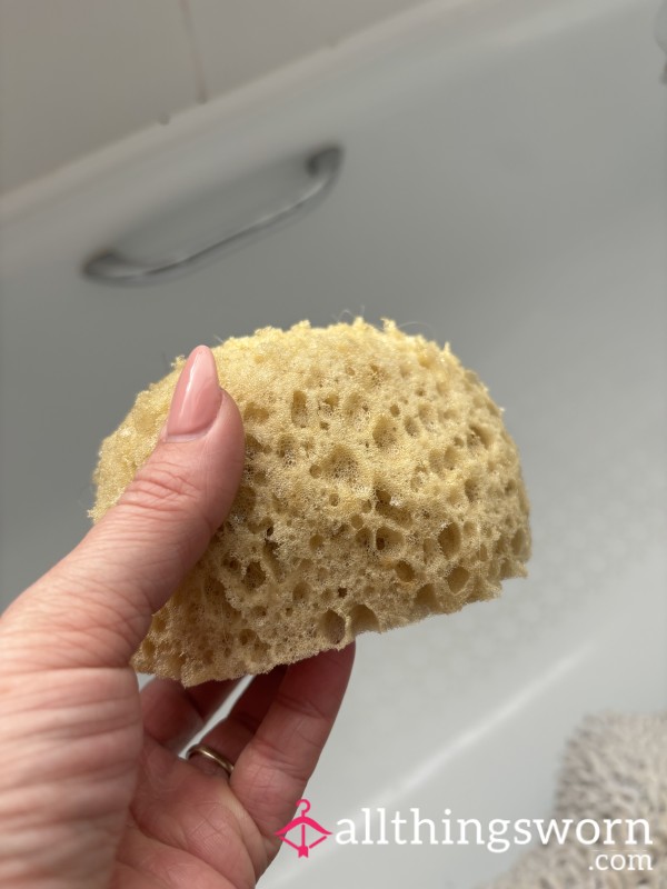 Shower Sponge