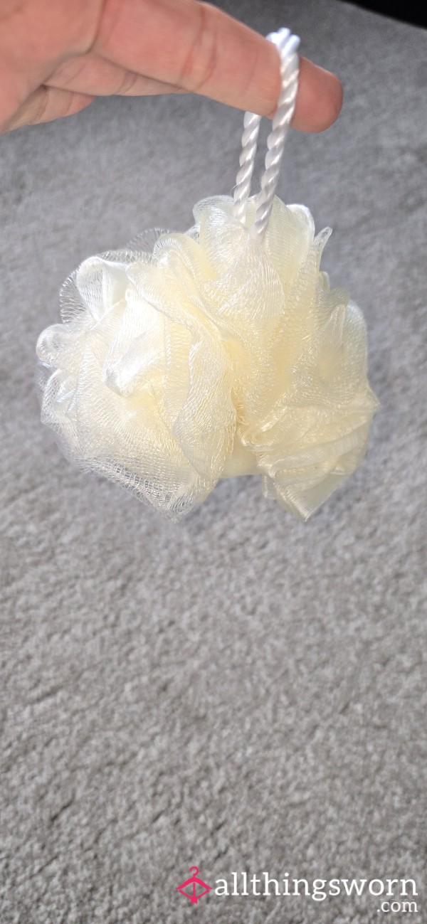 Shower Sponge