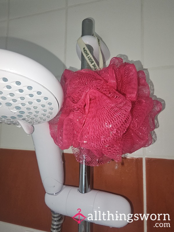 Shower Sponge 🚿