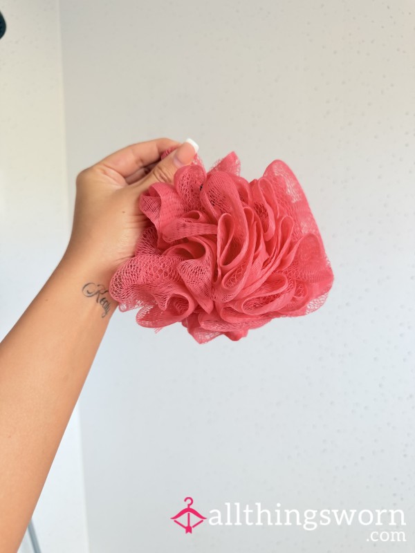 Shower Sponge