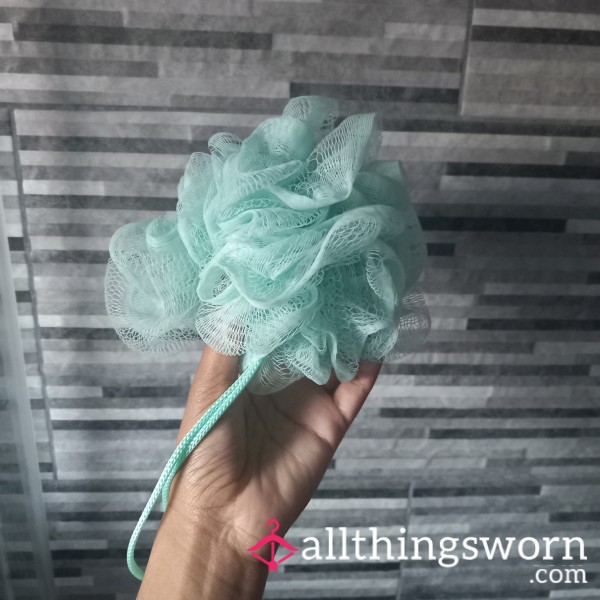 Shower Sponge