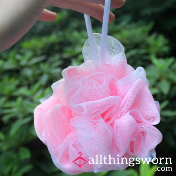Shower Sponge