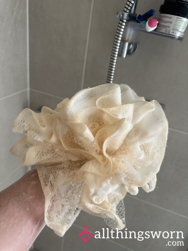 Shower Sponge