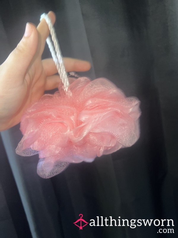 Shower Sponge