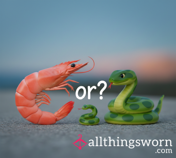 Shrimp 🍤 Or Anaconda 🐍? Let Me Decide!