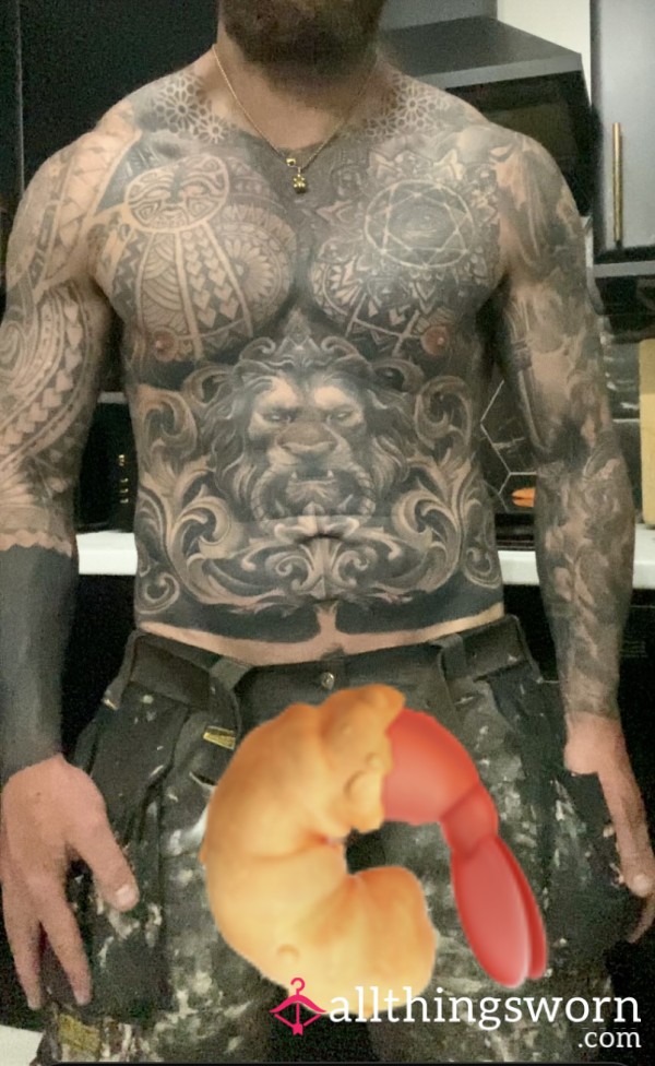 Shrimp Or Mega Shrimp 🤔