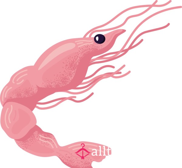 Shrimp Penis Tax