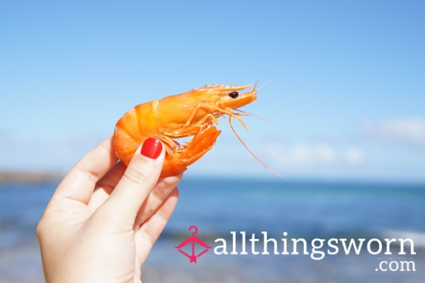 Shrimp Tax