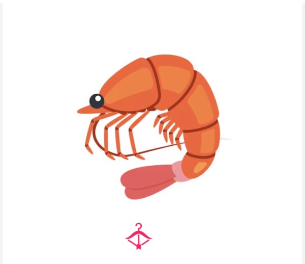 Shrimp Tax🦐