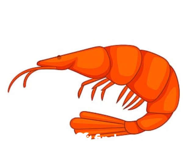 Shrimp Tax