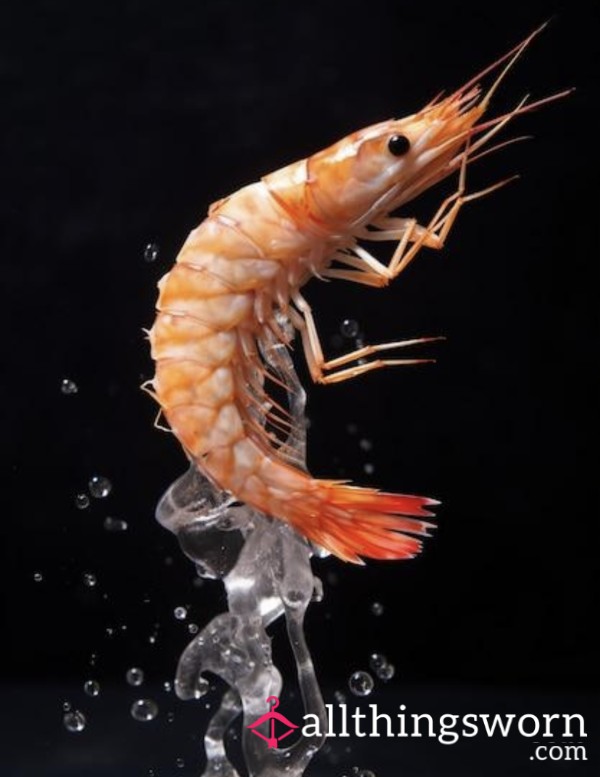Shrimp Tax Is Due Now