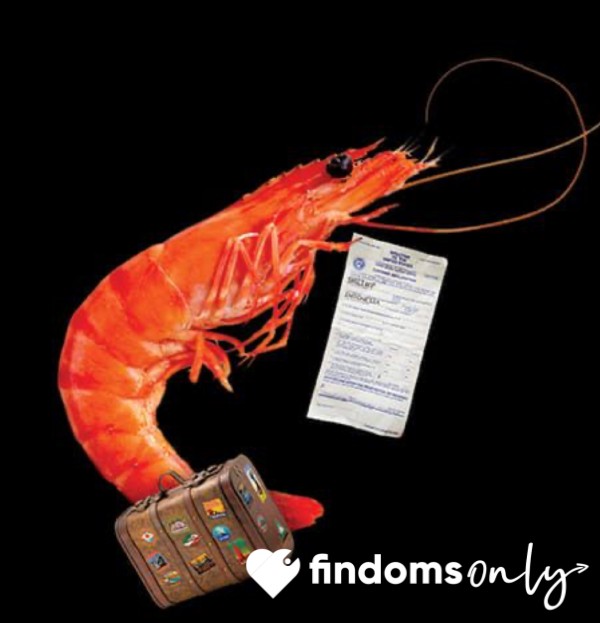 Shrimp Tax 🦐