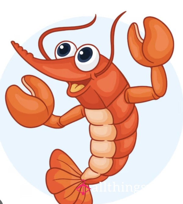 Tax Is Due Shrimp