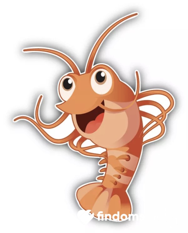 Shrimp Tax - Pay Up
