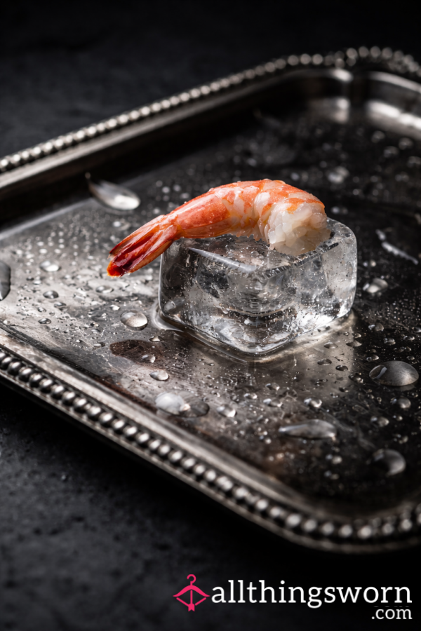 Shrink & Submit- Pay Your Shrimp Tax