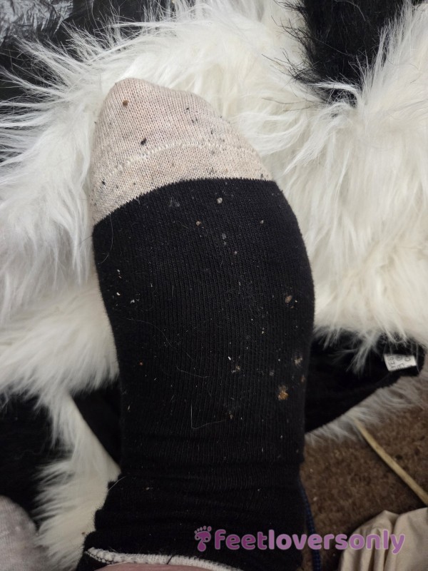 Single Mature Foot Sock