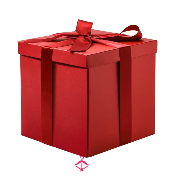 Sissy Outfit Box