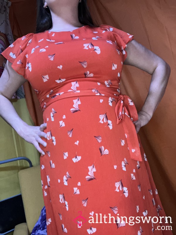 Size 12 Banana Republic Dress New With Tags