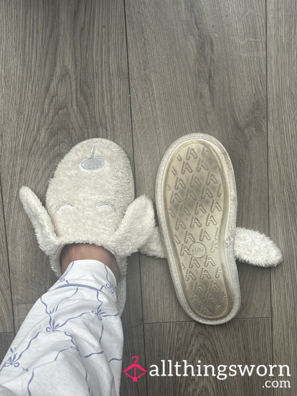 Size 7/8 Worn Slippers