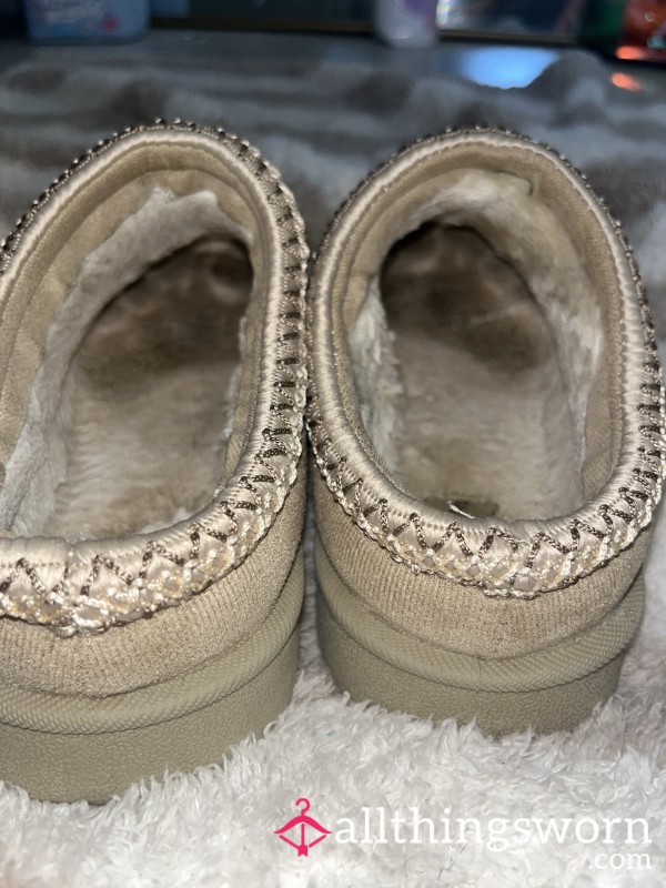 Slipper Shoes - Worn Daily For 3 Months.