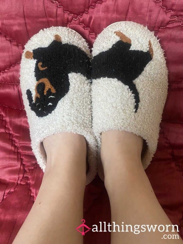 Slippers